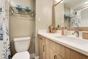Sleek bathroom finishes